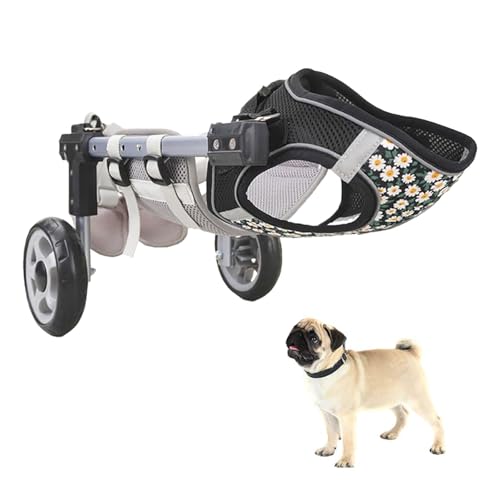 Fauteuil roulant pour soutenir la mobilité des animaux blessés