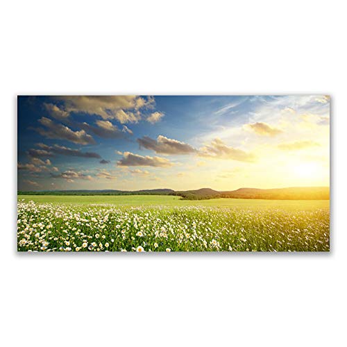 Plastique imprimés tableau mural fleurs meadow paysage décoration
