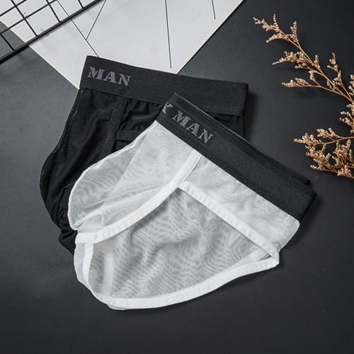 Men's See Through Sexy Mesh Underpants Breathable Comfort Panties Briefs3