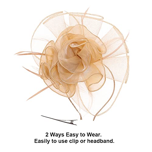 Bubbmi Lady Flower Fascinators Hats With Headband And Clips，Organza Vintage Derby Hat Cocktail Tea Party Headwear For Girls (B Gold) #TOP2
