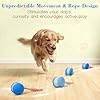 PJC Interactive Dog Toy – Automatic Electric Rolling Ball with Rope, Motion-Activated Play, Random Movement, Rechargeable, Ideal for Boredom Relief for All Dog Sizes #1