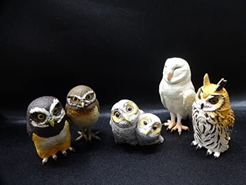 Amazon | カプセルQミュージアム 福をよぶフクロウ大全2 全5種 コンプ