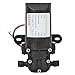 Diaphragm Pump, 36W Mini Water Pressure Diaphragm Pump, Double Straight Tube Agricultural, Industrial Diaphragm Pumps (DC24V)