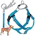 2 Hounds Design Freedom No-Pull Dog Harness with Leash | X-Small - XX-Large Adjustable Pet Harness for Small and Large Breeds | Made in USA (1" Medium, Turquoise)