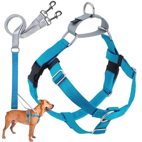 2 Hounds Design Freedom No Pull Dog Harness Adjustable Harness and Leash Set Easy Walking & Comfortable Control Fits Small Medium & Large Dogs Solid Colors Made in USA 1 XXL Turquoise
