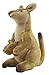 Hug a Kangaroo Kit (Book with Plush)