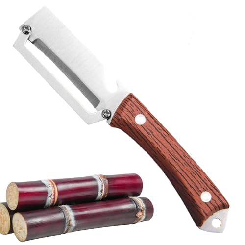 カボチャの皮むき器 - フルーツ用ステンレスハンドヘルド皮むき器 | 人間工学ハンドル キッチン皮むき道具 賃貸アパート ホテル 寮 業務用