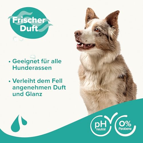 BEAPHAR - Hundeshampoo Fell-Glanz Für Hunde Aller Rassen - Hautfreundlich - Mit Macadamiaöl Und Aloe Vera - 0% Parabene - Frischer Duft - Vegan - 250 ml