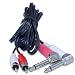 Dual RCA Stereo to Dual 1/4