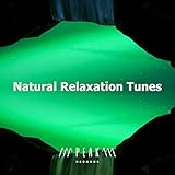 Musica Relajante 2022