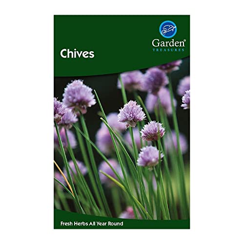 Garden Treasures Fresh Herbs Vegetable Fruit Seeds Salad Grow Your Own Indoor Outdoor (Chives)