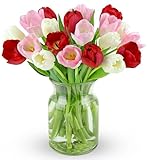 Benchmark Bouquets - 20 Stem Seasonal Tulips (Glass Vase Included) - Fresh Flowers for Next Day Delivery - Gift for Birthday, Anniversary, Get Well, Congratulations, Valentine's Day