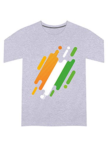 Image of Graphic Printed T-Shirt for Unisex Indian Tricolor Creative Artwork Tshirt | Casual Half Sleeve Round Neck T-Shirt | 100% Cotton | D00049-13