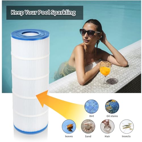 Filtre piscine C150S solution eau trouble compatible CS150E - 6