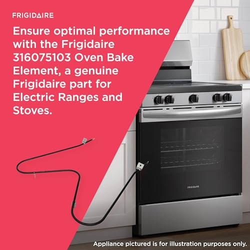 professional electric range System product image