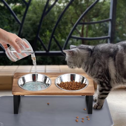 image for Summark Stainless Steel Raised Cat Food Bowl for 2 Bowls, 5.5-Inch Rep