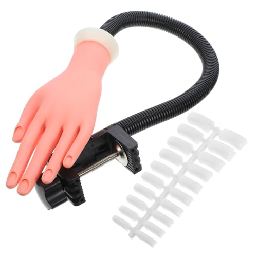 Holibanna 100 KplC`bvƉnhf bc[ lCA[g }j p JԂpł f