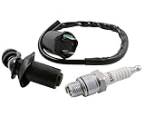  Zündspule + Zündkerze + Zündkerzenstecker Speedfight 1/2 Vivacity Buxy