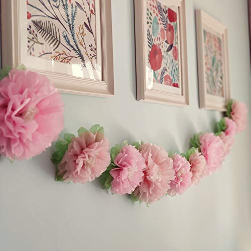 Mybbshower Pinks Flowers Decoration (11''-7'' Assorted) 6 Pcs Artificial Tissue Paper Peony Nursery Wall Bridal Shower Centerpiece Baby Girl Birthday Tea Party #TOP2