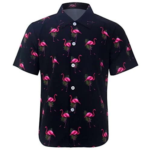 List of Ten Best Mens Novelty Button Down Shirts Top Picks 2023 Reviews