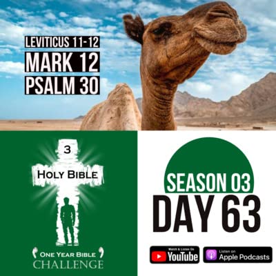 Day 63: God details which animals and insects are safe to eat | Jesus is challenged by religious leaders
