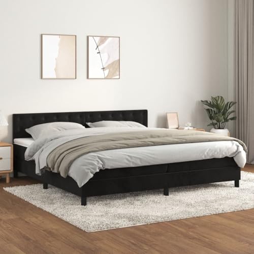 Willood Boxspringbett mit Matratze Schwarz 200x200 cm SamtKnöpfe
