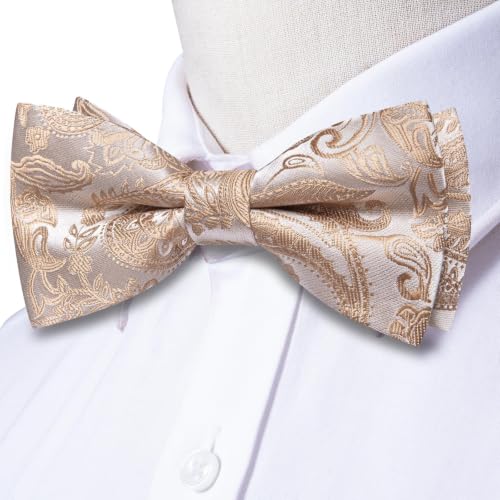 Image of Dubulle Mens Paisley Striped Bowtie Set Pre-tied Bowtie for Men and Pocket Square Set Wedding Business