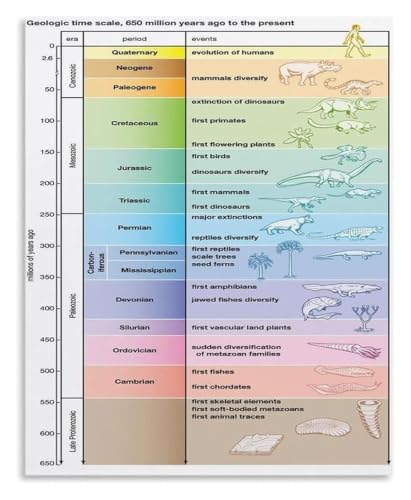 Geology Study Aid Reference Tin Sign 8x12 Inch | metal with pre drilled holes for classroom or home wall