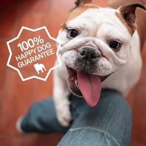 Petpost | detangling spray for dogs with knots mats  tangles  naturally rejuvenating dog hair detangler for healthier shinier stronger fur  oatmeal aloe and vitamin e formula 8 oz   cucciolini doodles