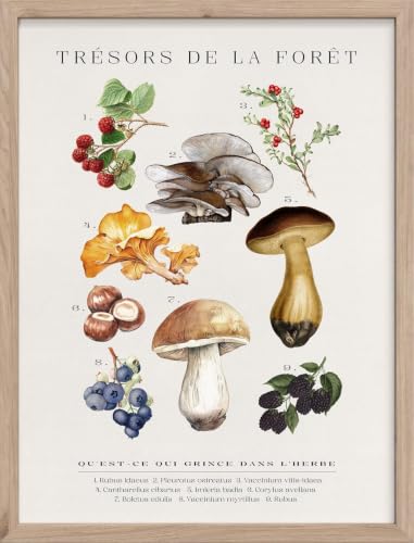 Trésors de la Forêt poster déco pour habiller un mur vide avec du charme botanique sauvage