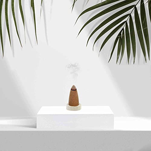 Aro Vatika Vedic Natural Masala 120 Incense Cones In Pack Of 12 Boxes |12 Assorted Fragrances Dhoop Cones | Best For Prayer, Reiki, Meditation And Relaxation | Burn Time- 25 Mins #TOP1