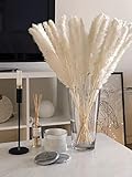 EZDC 30 Stems Cream White Pampas Grass, 17” Pampas Grass Decor, Dried Pampas Grass Plants for...