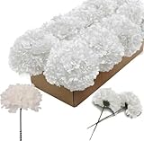 Larksilk Carnations Artificial Flowers - Fake Flowers for Easter Decorations, Spring Decor, Wedding Decor, Floral Backdrop - Fake Carnations, 5