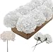 Larksilk Cream White 3.5" Silk Carnation Flowers 5" Stem Pick, 100 Count