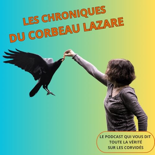 Peut-on nourrir des corbeaux ou des corneilles sans leur nuire ?