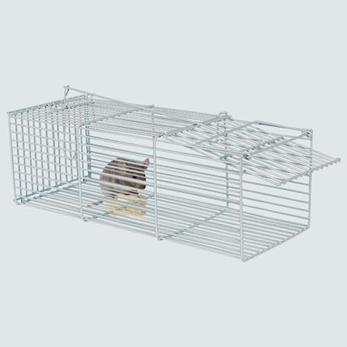 Ratoeira gaiola armadilha para ratos e camundongos roedores