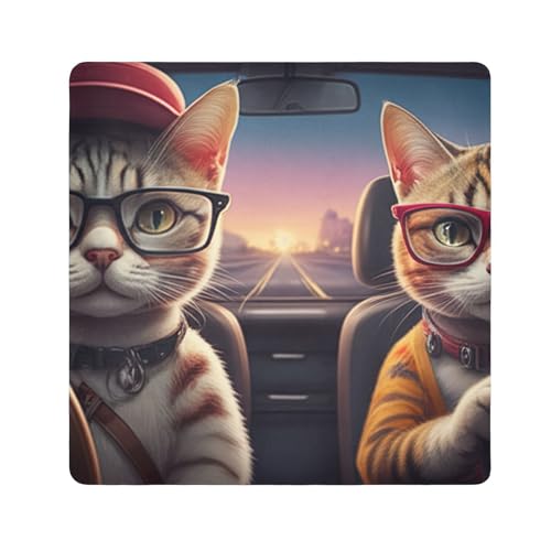 ODAWA Cute Cats Driving Car 13.8