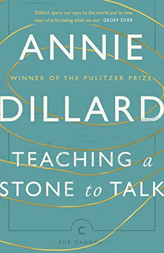 Teaching A Stone To Talk