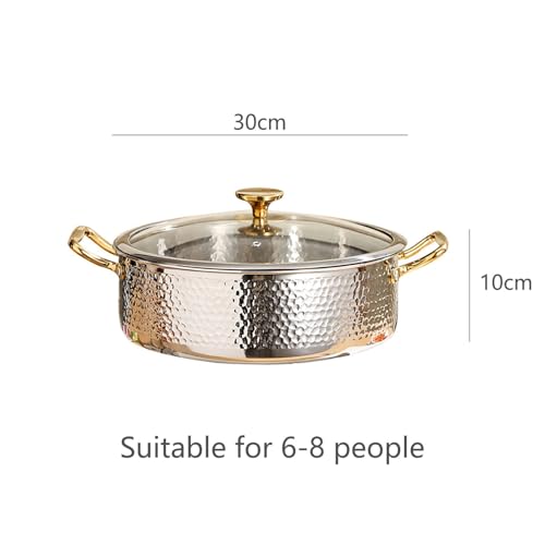 SAeWare Pentola in acciaio inossidabile 304, fatta a mano con coperchio, elegante casseruola per cucina e cucina domestica, argento, 28 cm
