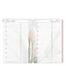 Classic Blooms Address/Phone Tabs - Pink/Green