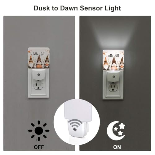 Image of Fall Thanksgiving Gnome LED Plug-in Nightlights 2-Pack for Corridors