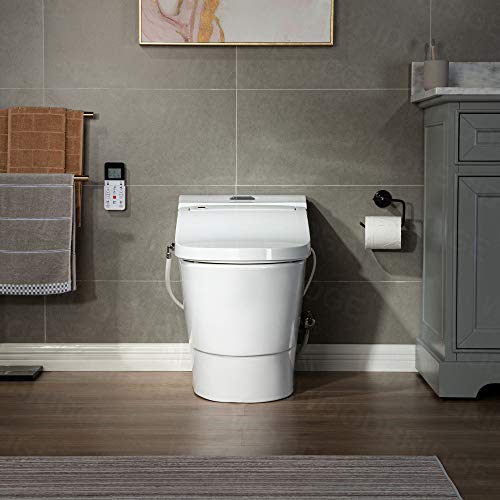 Woodbridge T-0737 Toilet & Bidet #TOP1