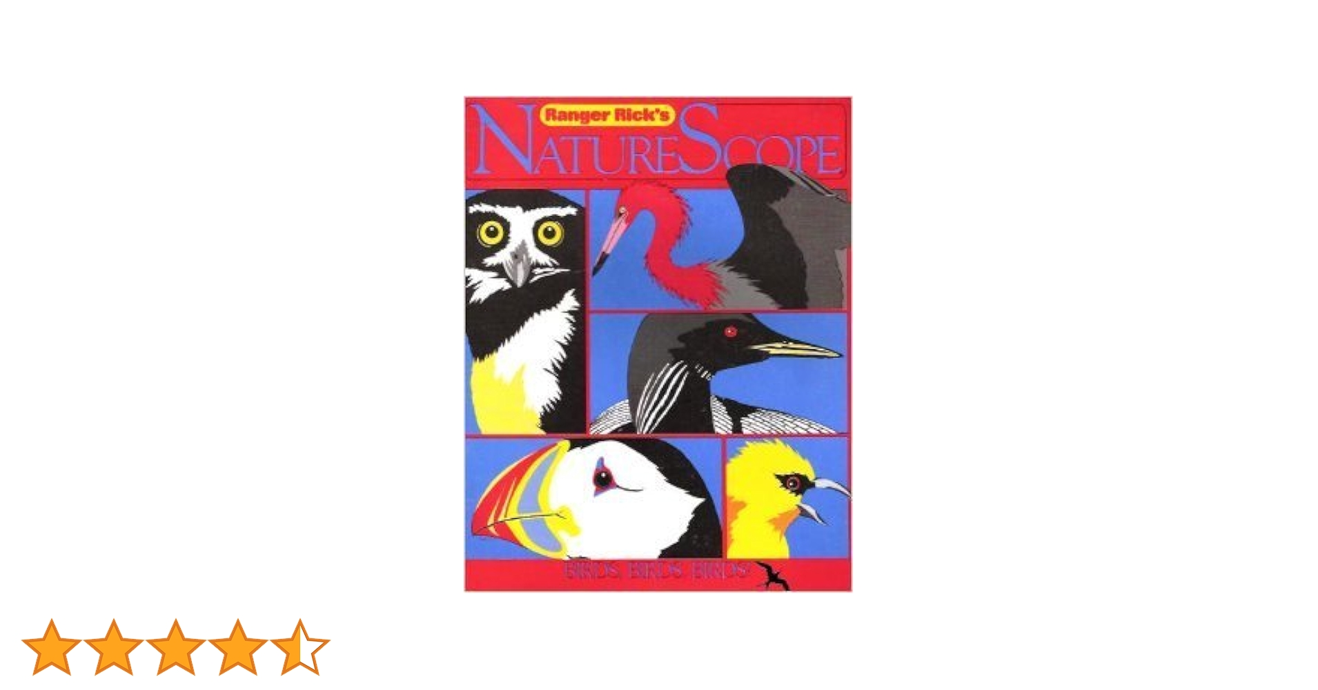 【限定100枚・証明書付】Heather Brown Rainbow Birds Amazon.co.jp: [ヘザーブラウン] HEATHER BROWN アートプリント