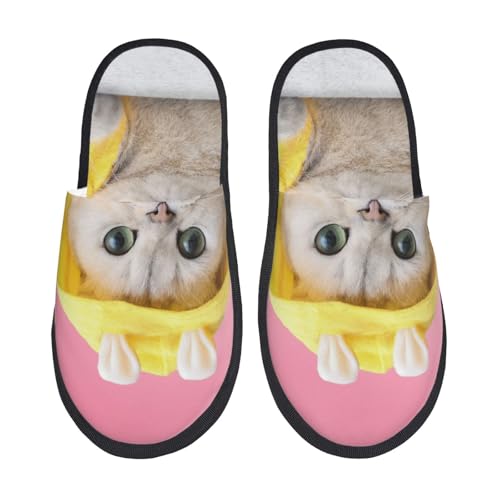 A Funny Cat Print House Slippers For Women And Men,Soft Slippers With Memory Foam,Non-Slip Indoor Home Shoes