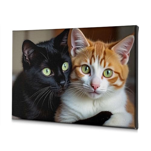 Tableau chat noir et orange pour salle à manger | Toile murale 40x60 cm
