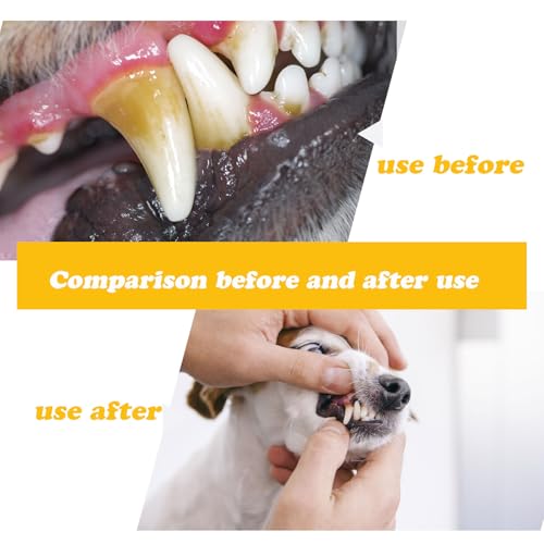 3PCS Zahnreinigung Set,Zahnsteinentferner Hund,Zahnstein Hund,Hunde Zahnsteinentferner,Zahnstein Entfernen Hund,Doppelkopf Zahnpflege Set,Scaler Für Hunde,Geeignet Für Hunde,Katzen,Haustiere