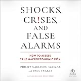 Shocks, Crises, and False Alarms: How to Assess True Macroeconomic Risk