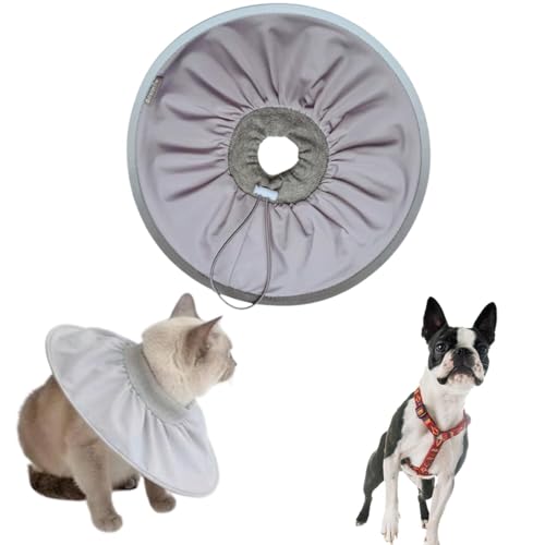 Lifetips{XgeA {XgLp GUxXJ[ h \tg y pPA ی Ȃߖh~ p EȒP 􂦂 PAJ[([~XgO[j(Lj