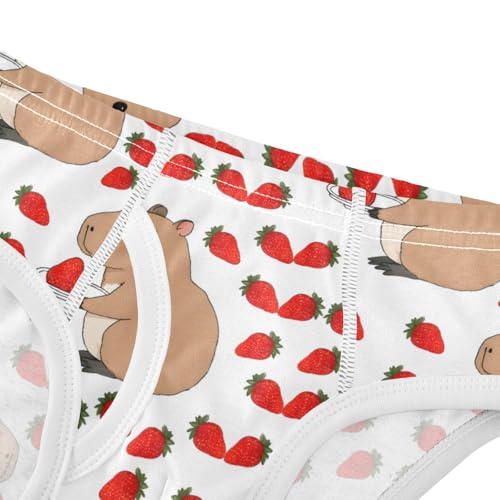 Boys' Exclusive Briefs Toddler Underwear 95% Combed Cotton Boxerbriefs 2T Capybara and Strawberry Pattern 214