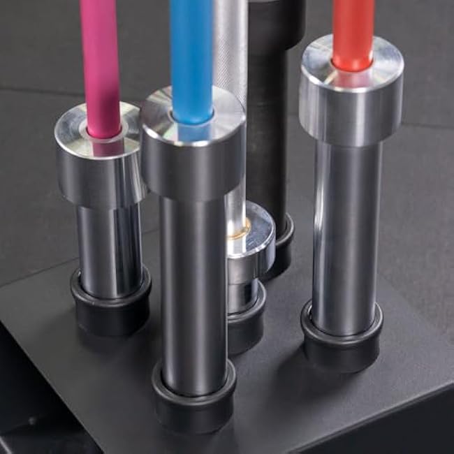 Titan Fitness 5 Barbell Holder, Vertical Olympic Sized Bar Rack, 12 x 12 Compact Floor Unit, Nylon Inserts Protect Sleeves, Organize and Save Space in Home Garage Gym